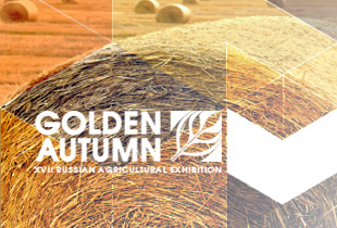 Expositions of Golden Autumn